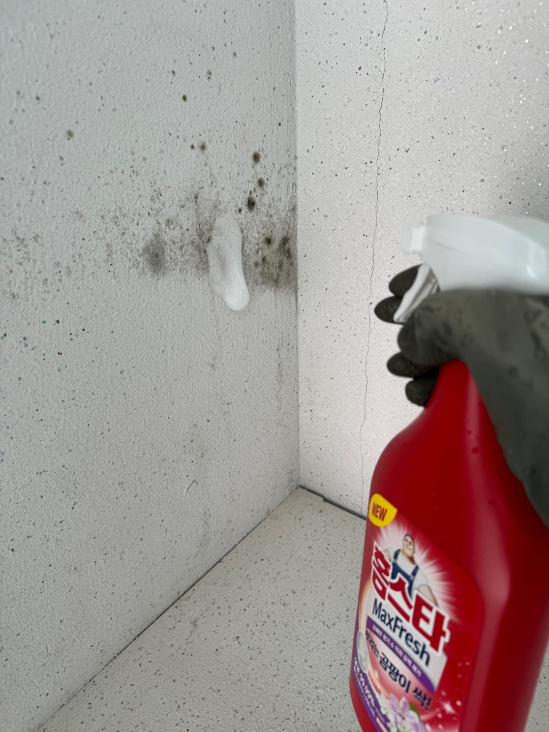 거품나는 곰팡이 제거제