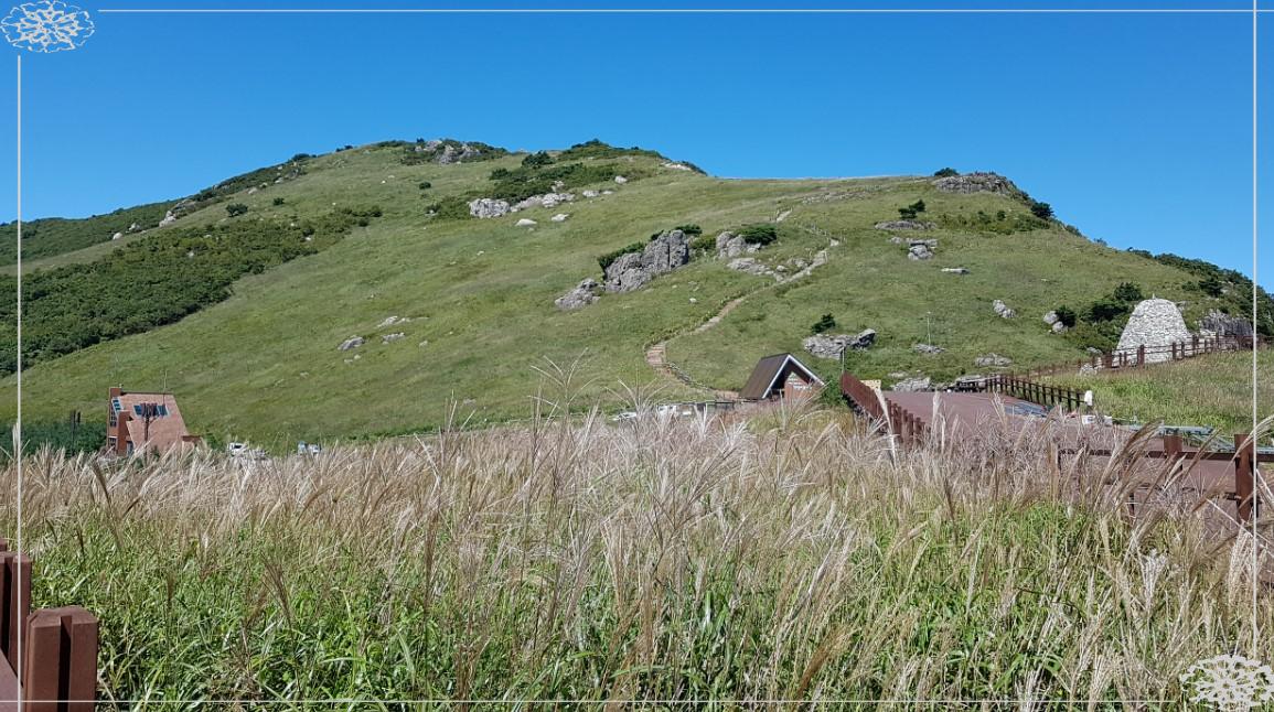황금빛 억새 바다에서 힐링! 울산 영남알프스 간월재 트레킹 완벽 가이드 (ft. 초보자 추천 코스 & 절정 시기)