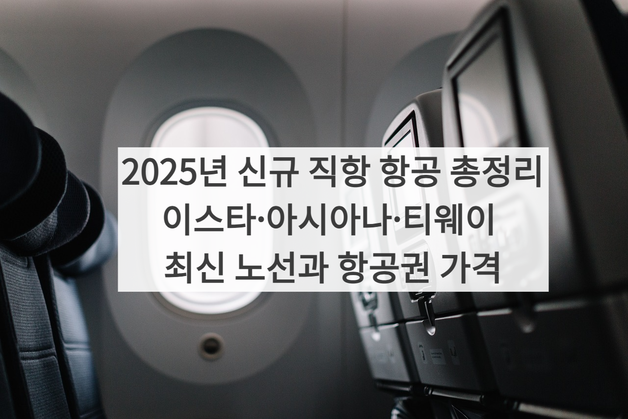2025 신규 직항 항공 썸네일 사진