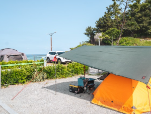 강원도 오토캠핑장
