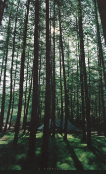 강원도 여행 힐링코스 평창 이민정 가오정 촬영지