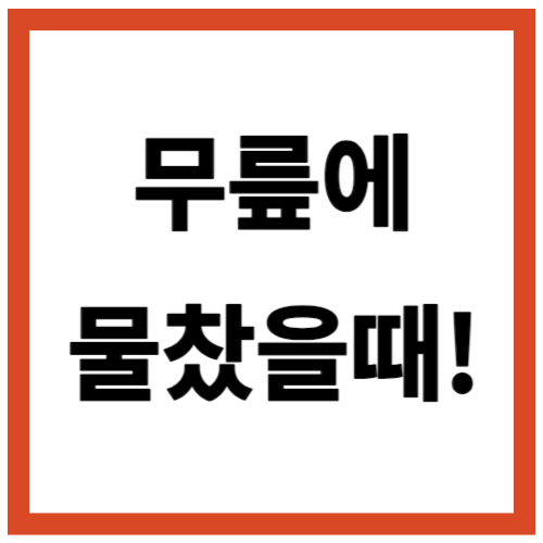 무릎에 물찼을때 치료법 관리방법 영양제