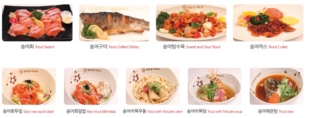 평창 송어 축제