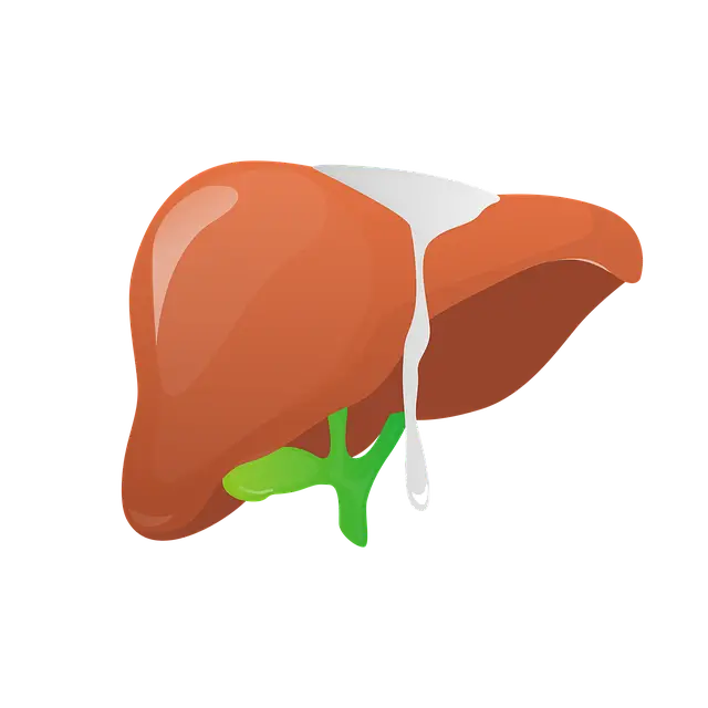 간에 좋은 영양제 음식 차 추천 드려요