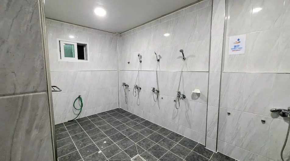 정선 캠핑장 파인트리캠핑장 사진9