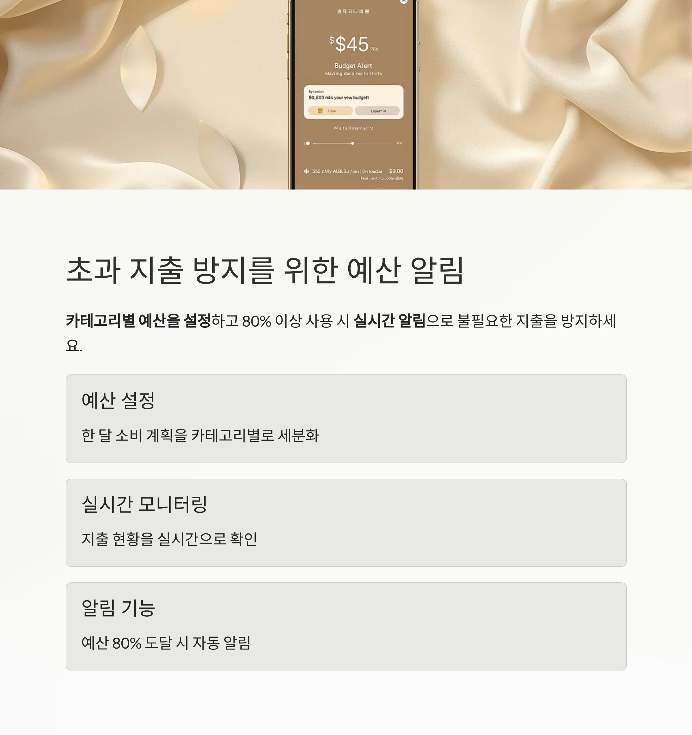 똑똑한 예산 분배, 뱅크샐러드