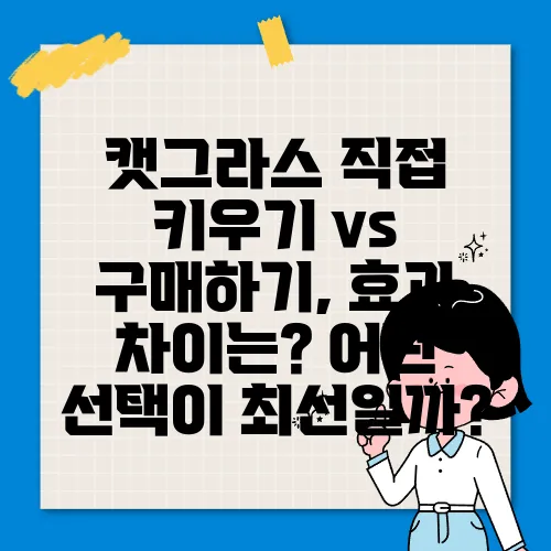 캣그라스 직접 키우기 vs 구매하기, 효과 차이는? 어떤 선택이 최선일까?