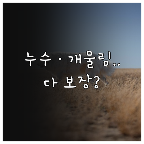 누수 사고부터 반려견 사고까지 보장하..