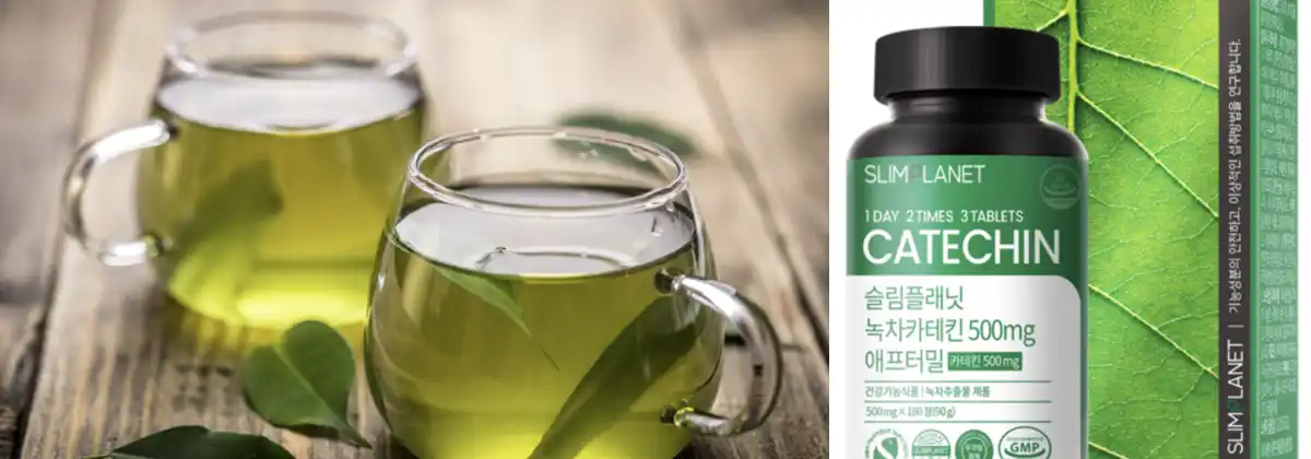 녹차-카테킨성분-제품.