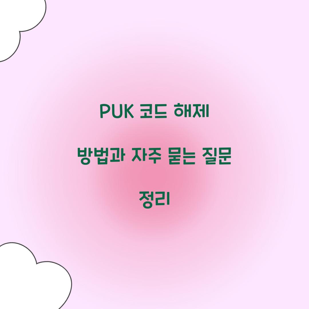 PUK 코드 해제 방법