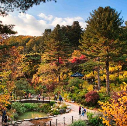 아침고요수목원 단풍 정자와 함께