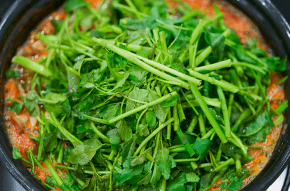 쑥을 곁들인 요리