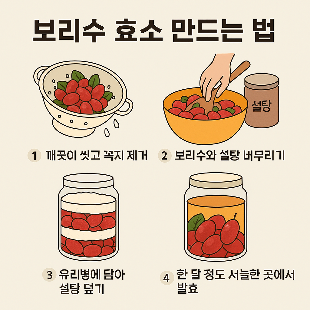 보리수 효소 만드는 법