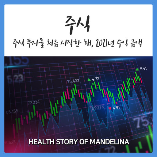 주식투자 차트
