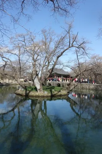 남원 가볼만한곳 베스트10 맛집 여행코스_17