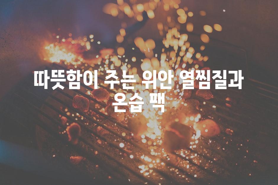 따뜻함이 주는 위안 열찜질과 온습 팩