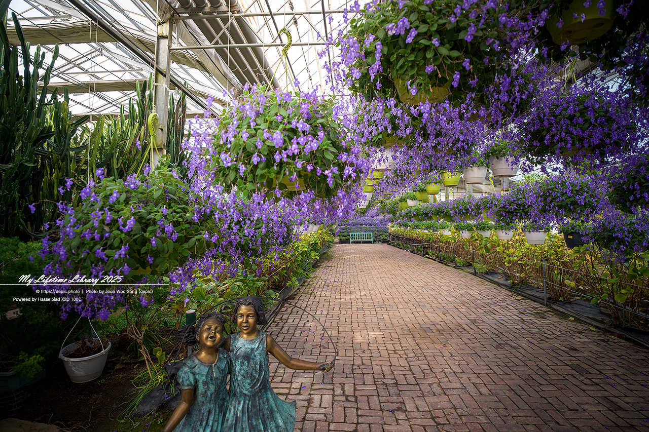 식물원 아산 세계꽃식물원 온실 꽃