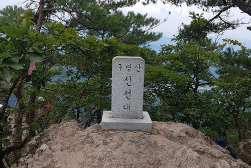 신선대11