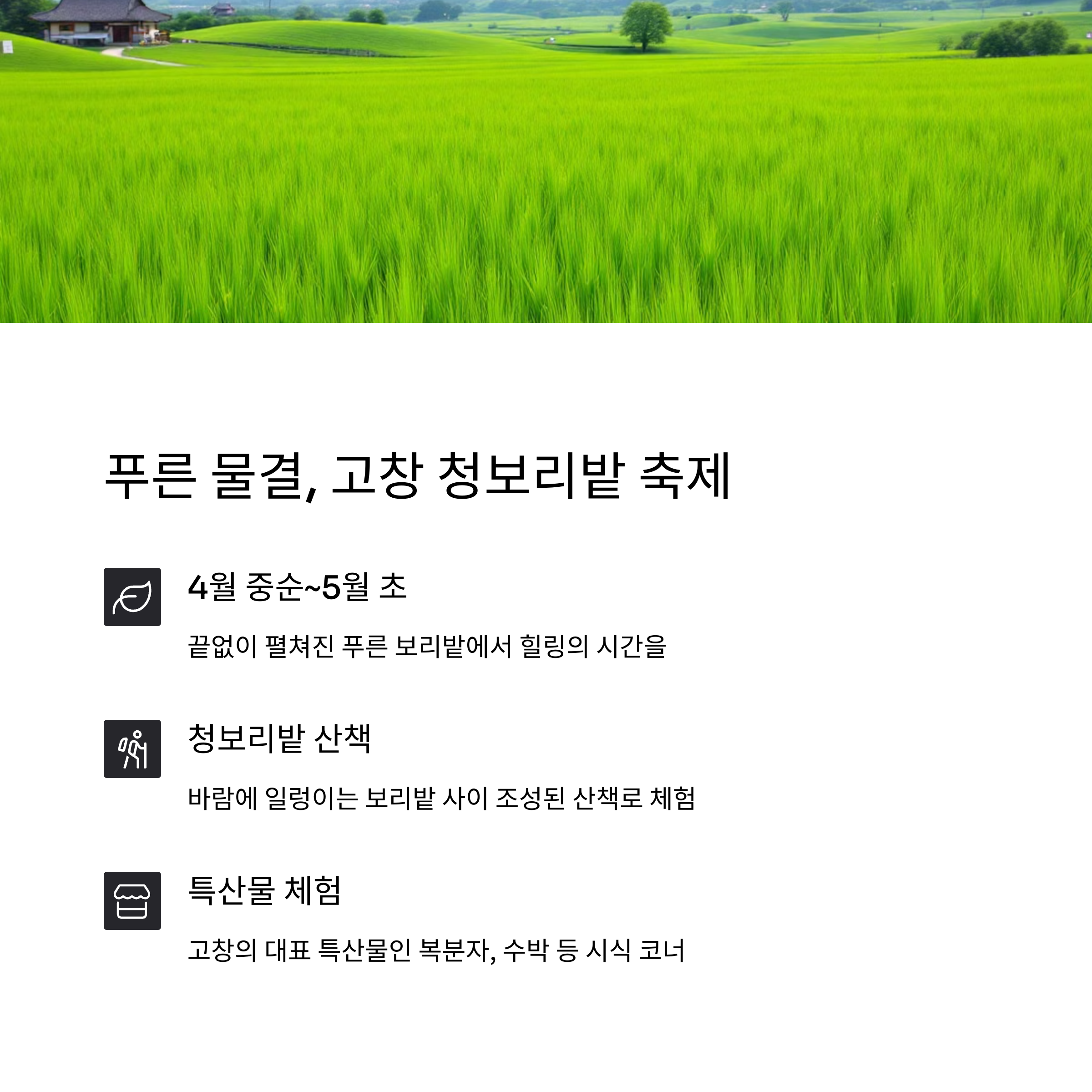 고창 청보리밭 축제