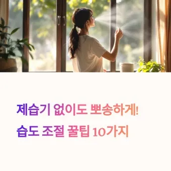 제습기 없이 습기 제거 끝 숯 염화칼슘 등 천연 제습제 활용법 완벽 가이드_24