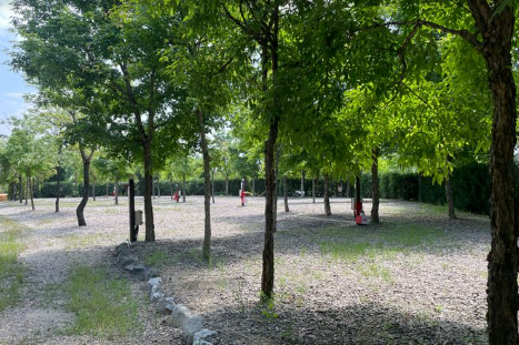 파이브이모션 캠핑장 C존