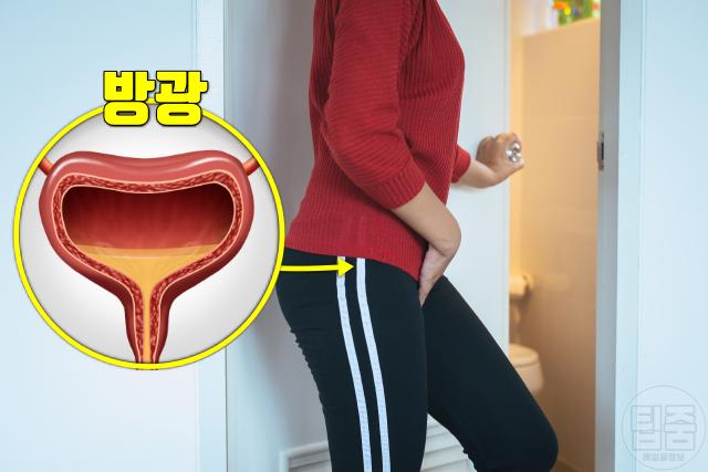 요로감염 증상 소변 자주 마려움