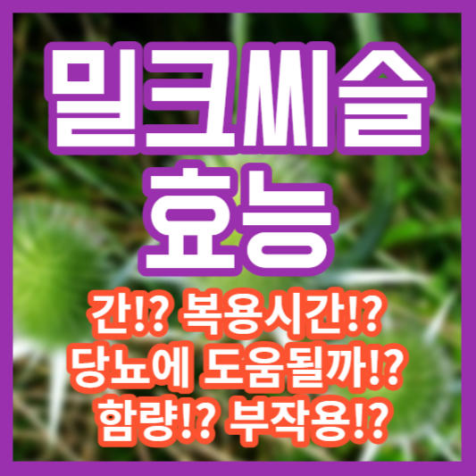 밀크씨슬 효능 - 간!? 복용시간!? 당뇨!? 함량!? 부작용!?