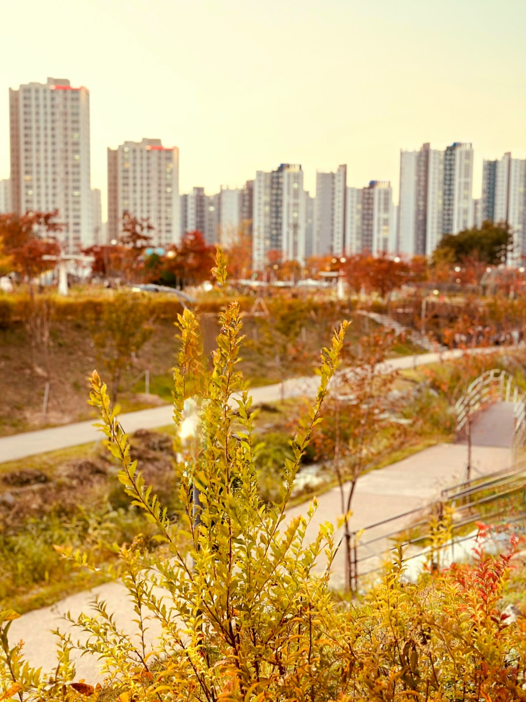 미사-호수공원에-다녀왔어요.