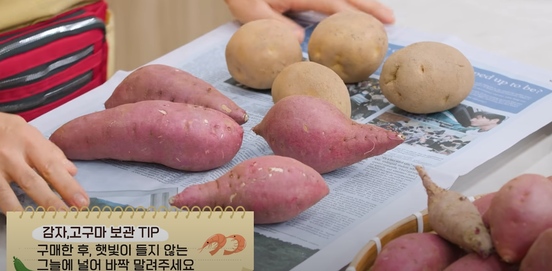 감자 고구마 보관법&#44;오래 가는 보관방법