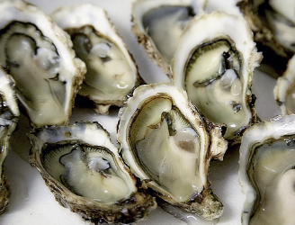 이명 치료 방법 28