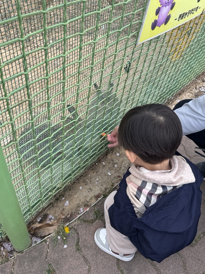 섬진강 기차마을