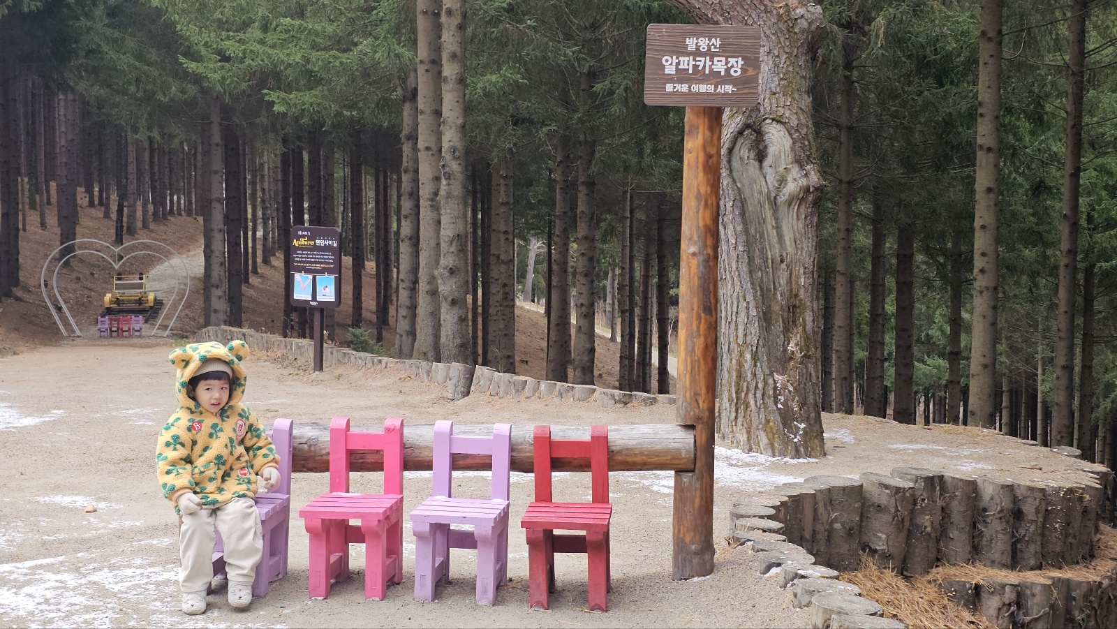 [24.11월] 아이와 평창 #1 - 모나 용평리조트 애니포레🏔️