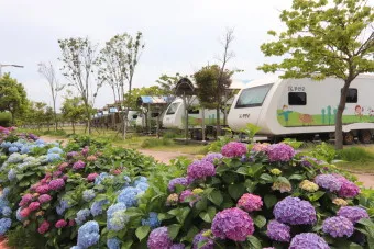 무안 가볼만한곳 베스트10 현지인 추천 필수코스_27