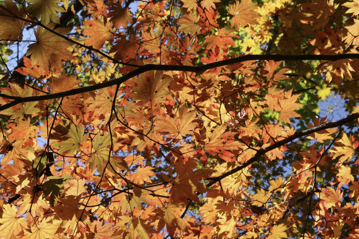 설악산 케이블카 요금안내