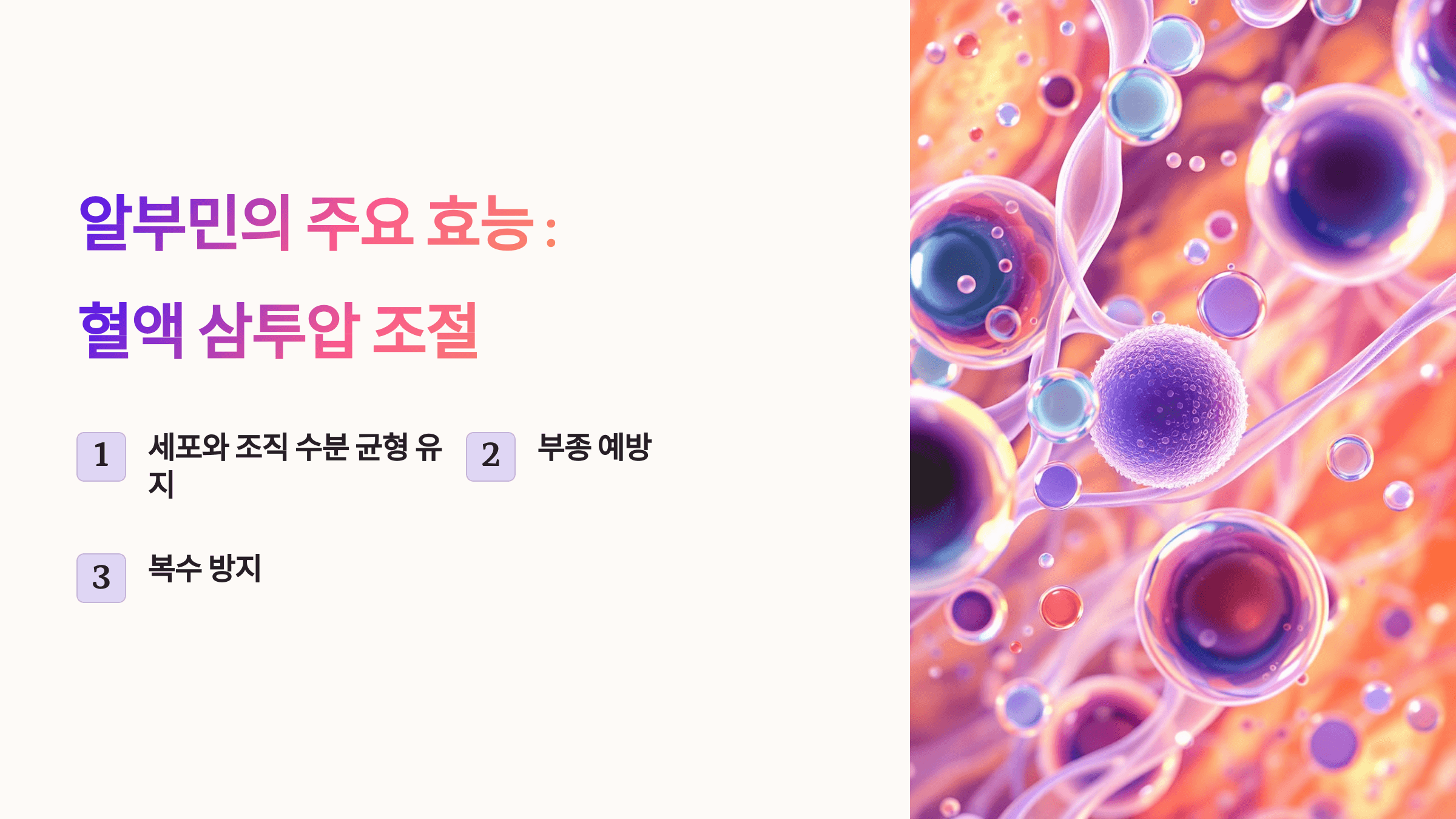 알부민과 관련된 사진입니다.