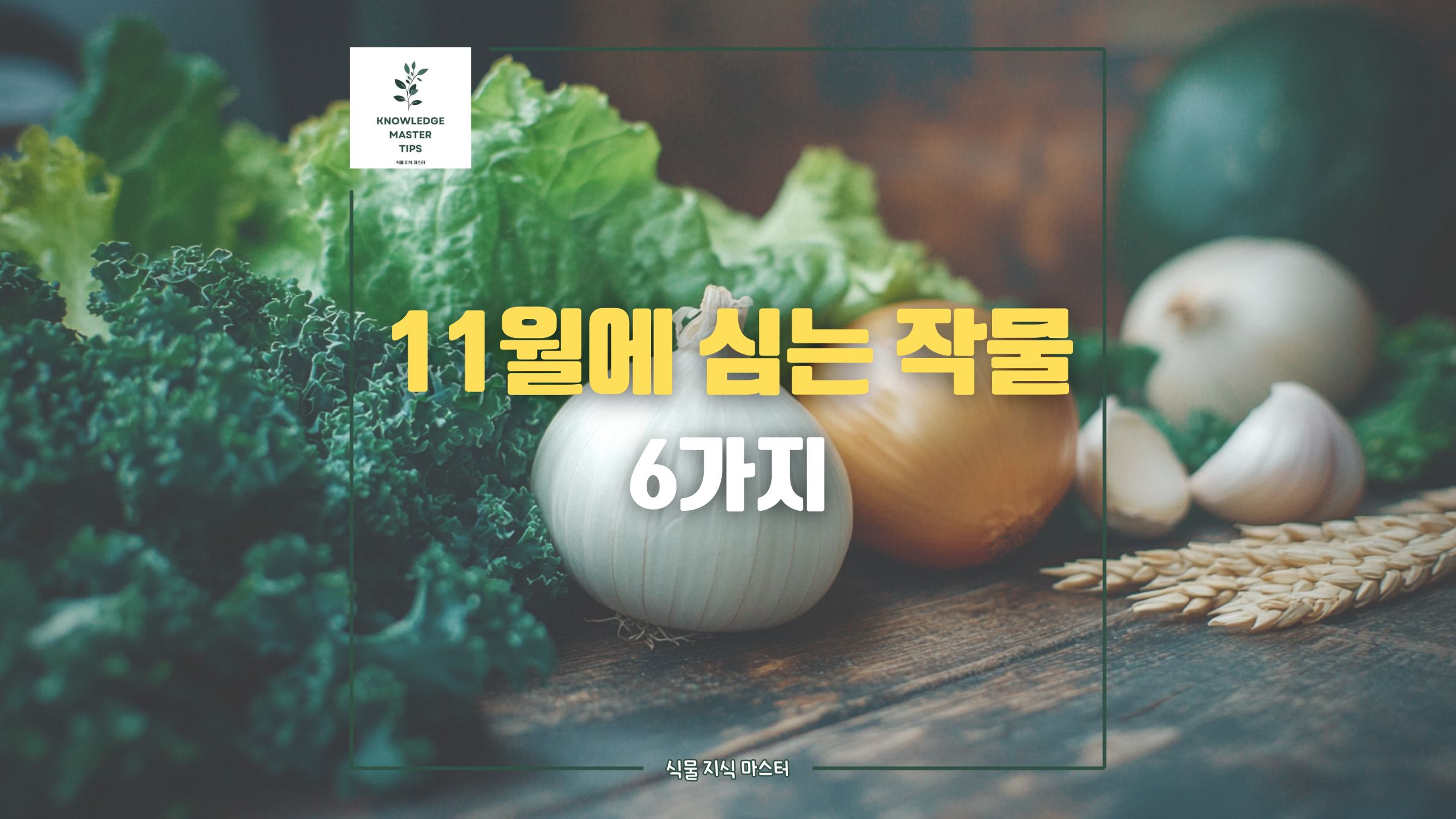 11월에 심는 작물, 텃밭에 심을 수 있는 작물 6가지