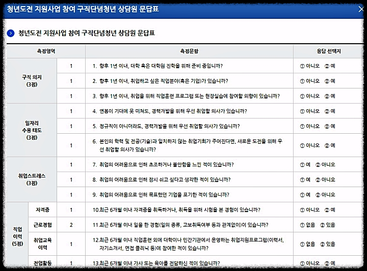 청년도전지원사업_문답표_질문내용