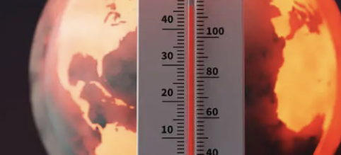 수두 증상 10