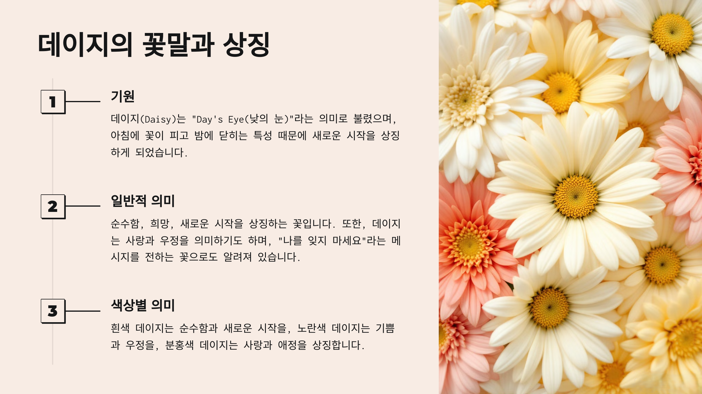 데이지 꽃