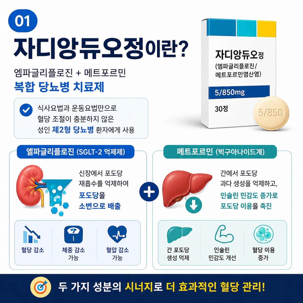 자디앙듀오정이란-복합-당뇨병-치료제
