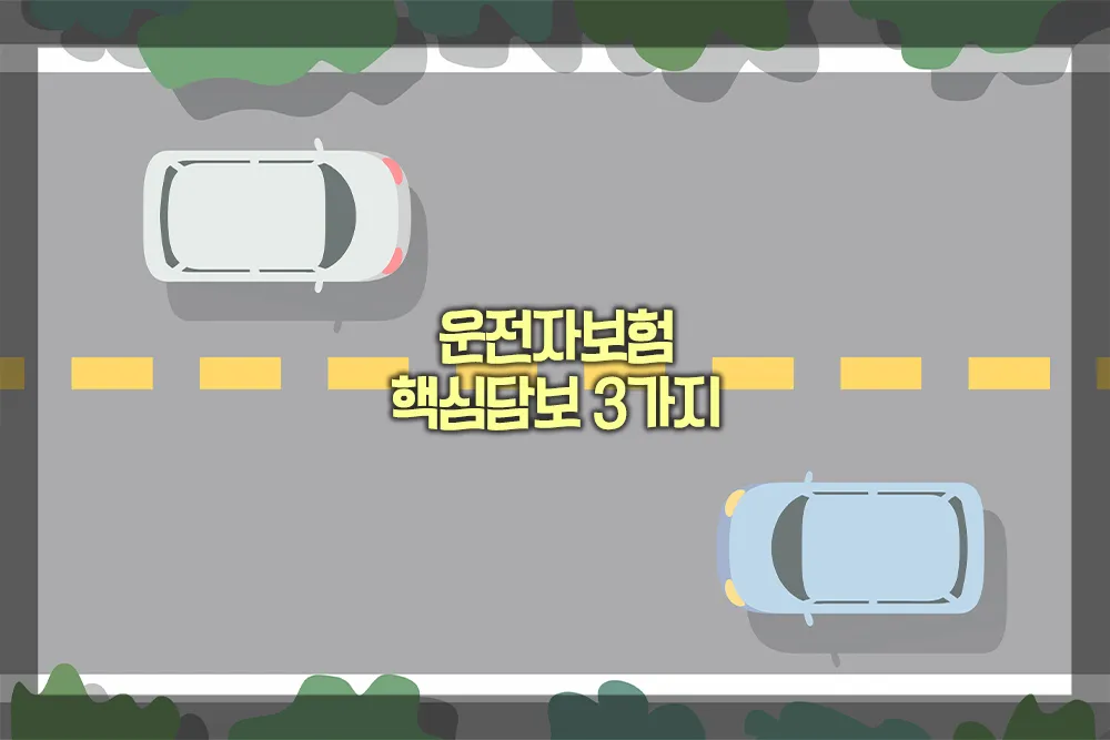 운전자보험 핵심담보 3가지