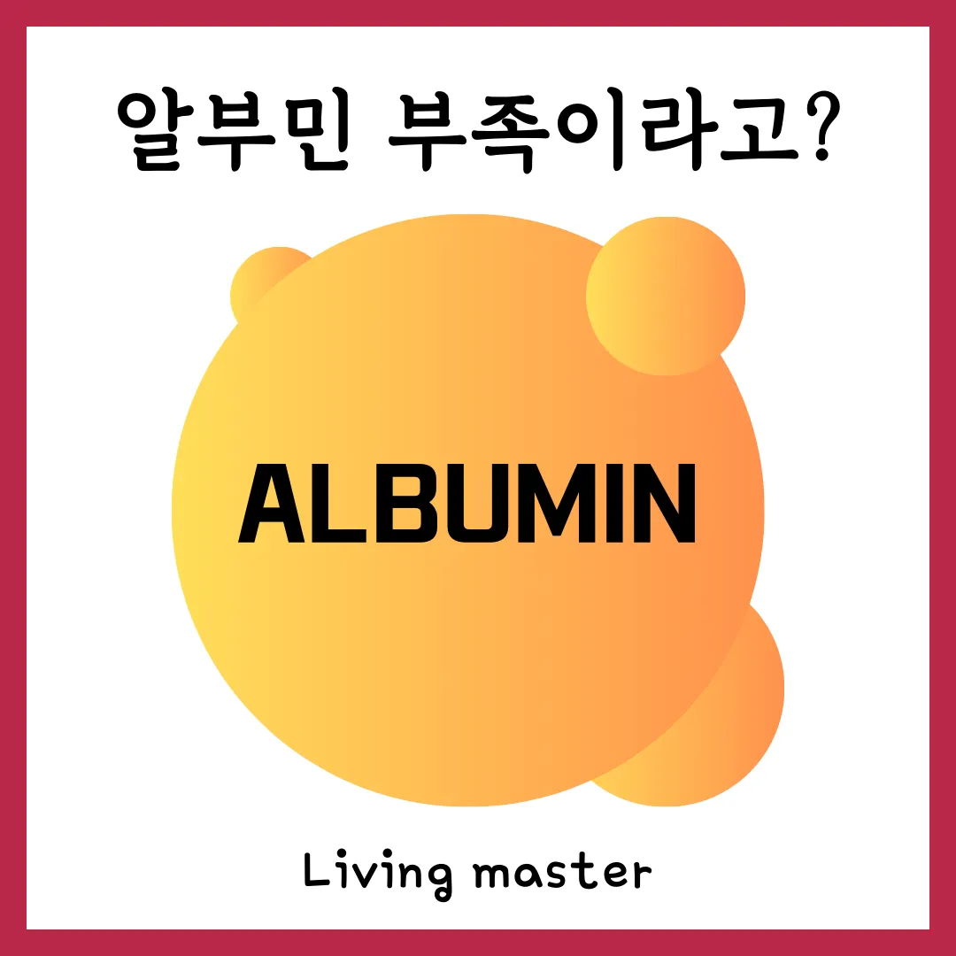 알부민 부족?