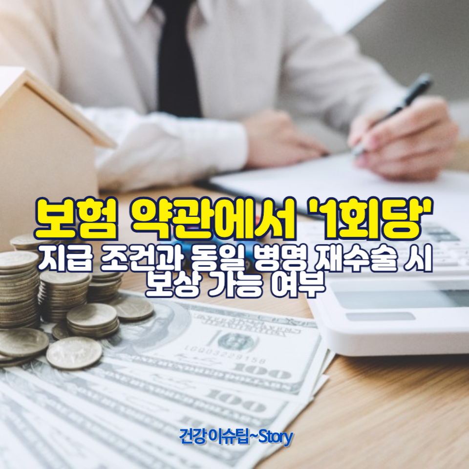 보험 약관에서 "1회당"