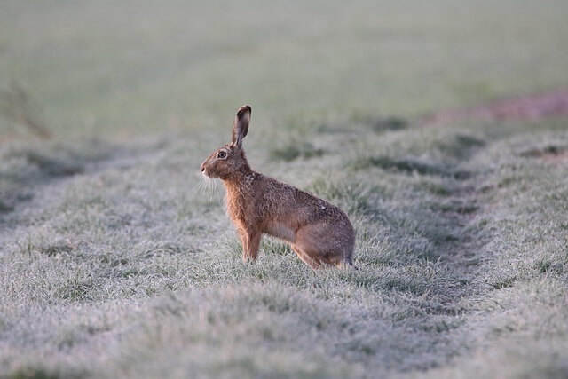 실용 수학의 체계화 작업을 이룬 수학의 정밀 설계자 크리스티안 크람프