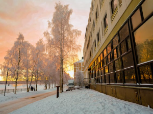 위축성 위염 치료 방법