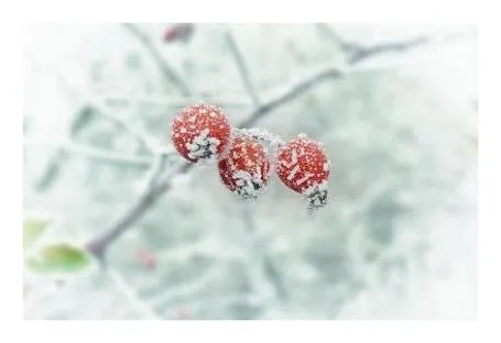 겨울에 듣기 좋은 노래