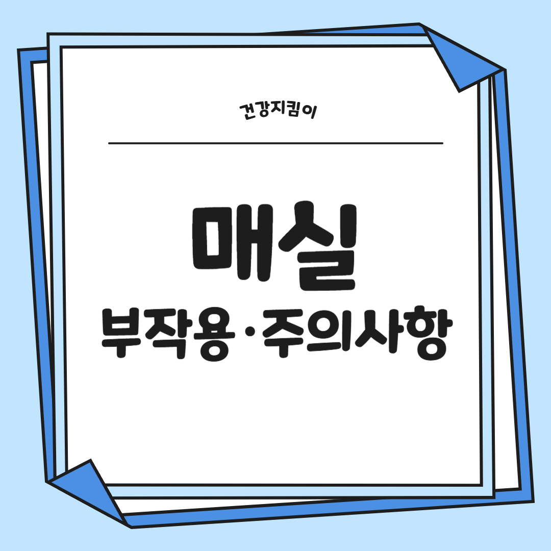 매실 효능과 부작용 고르는법 칼로리