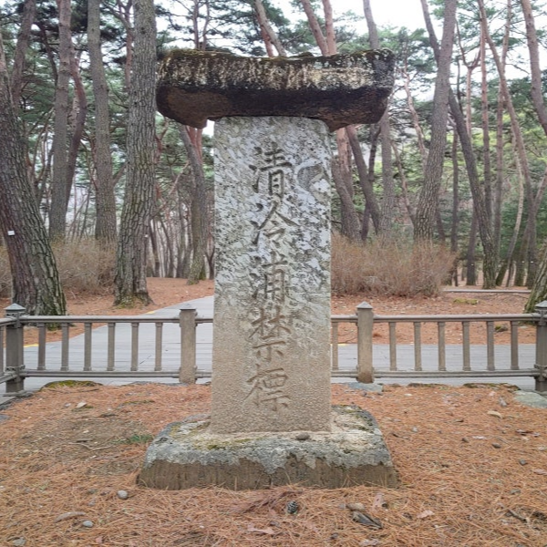 영월 청령포 여행