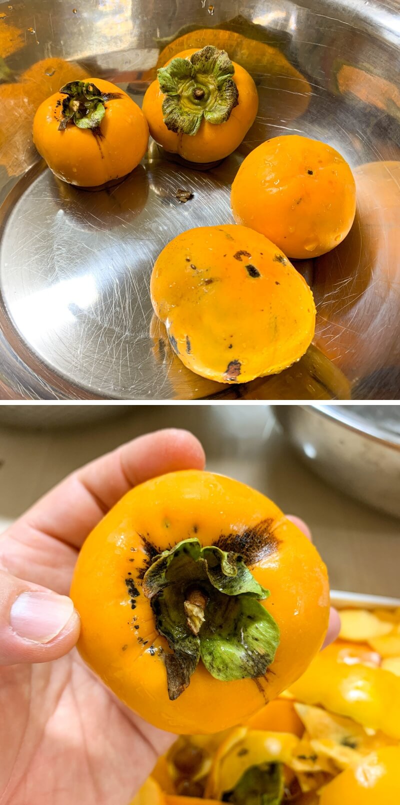 가을걷이를-마친-단감