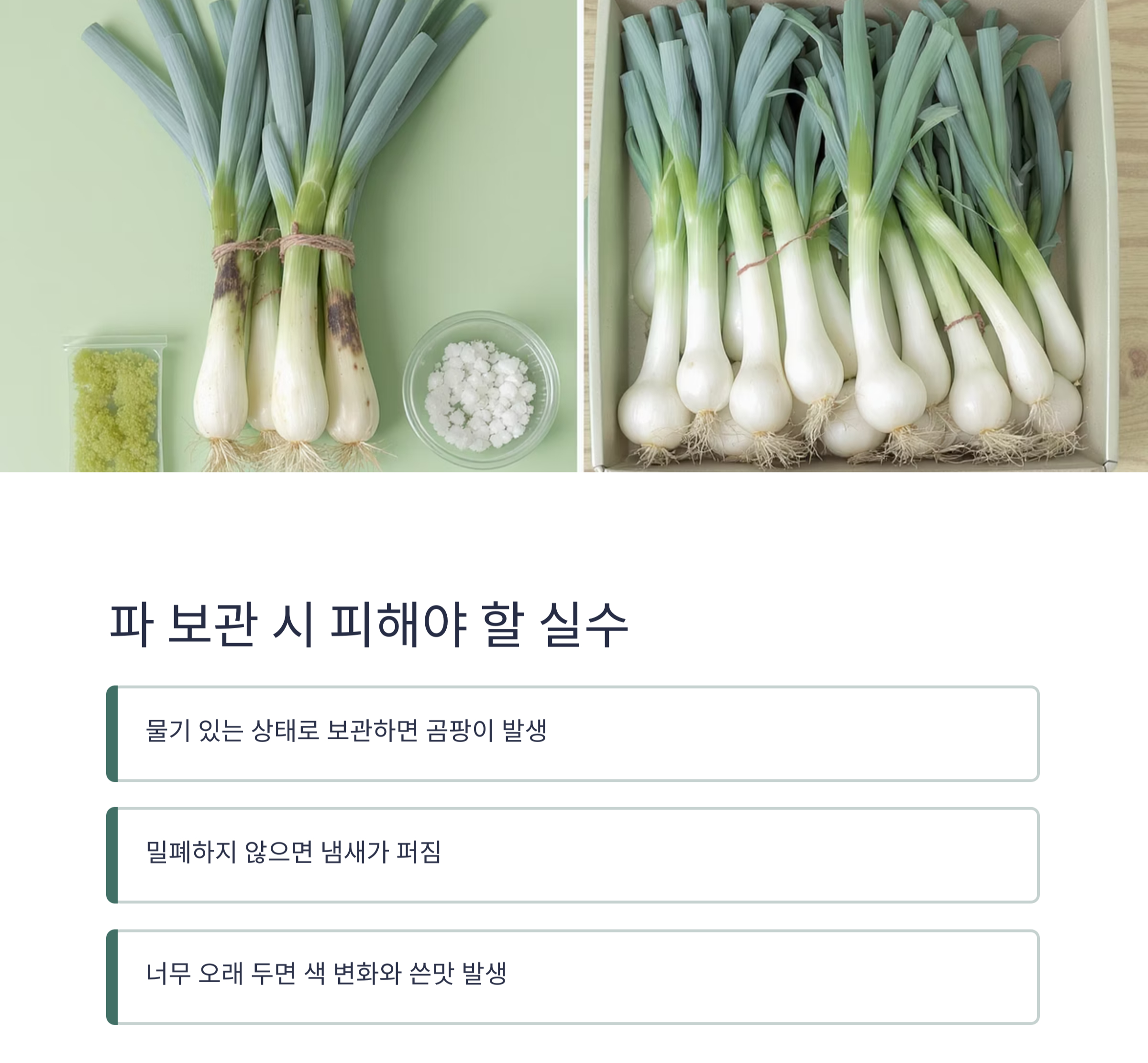 요리 초보도 쉽게! 파 손질 후 냉동&middot;냉장 보관법 완전정복